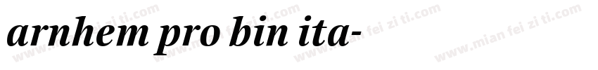 arnhem pro bin ita字体转换